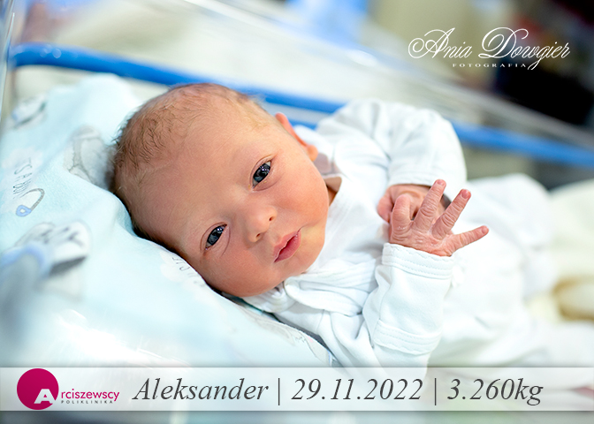 2022-11-29_Aleksander-1.jpg