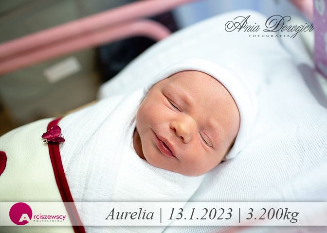 2023-01-13_Aurelia.jpg