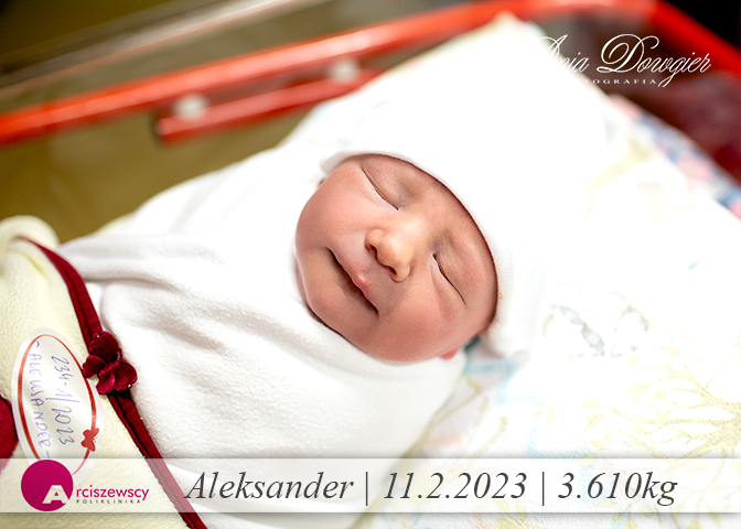 2023-02-11_Aleksander.jpg