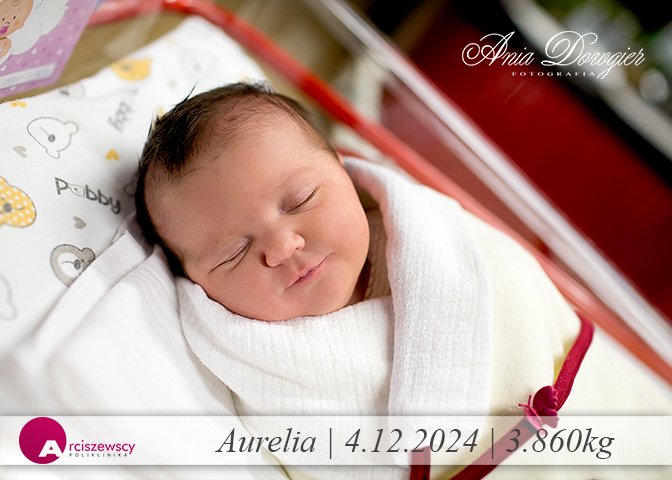 2024-12-04_Aurelia.jpg