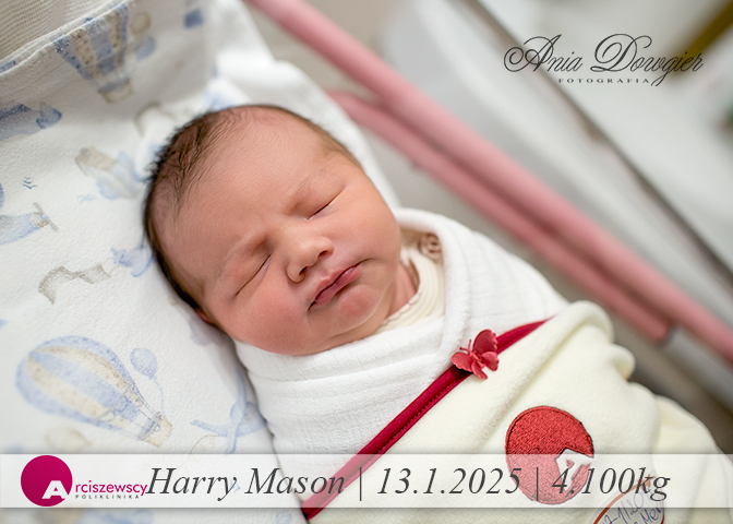 2025-01-13_Harry.jpg